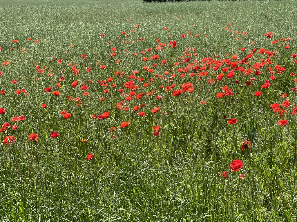 L'esprit et les émotions se mettent en mouvement vers un changement concret