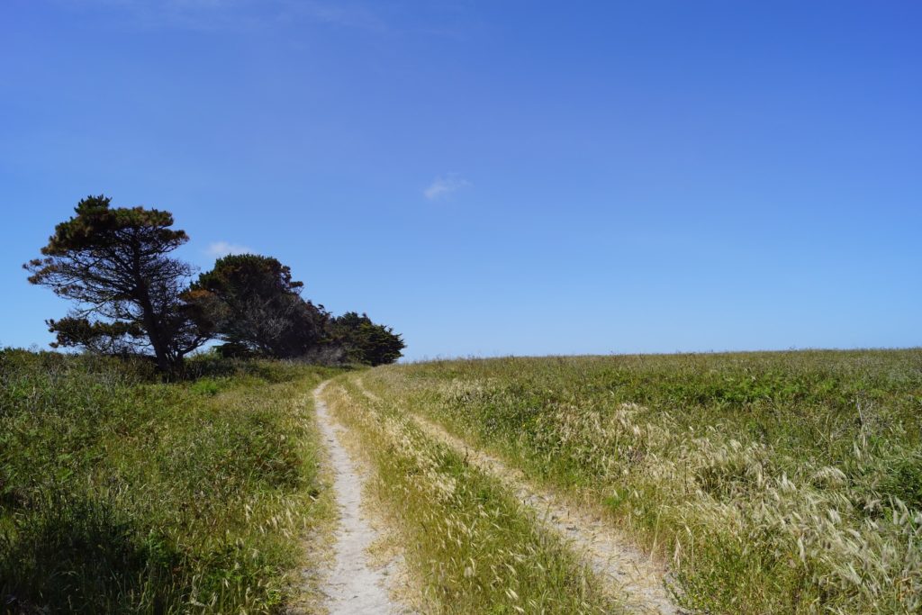 L'hypnose en marchant
