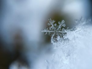Le flocon de neige